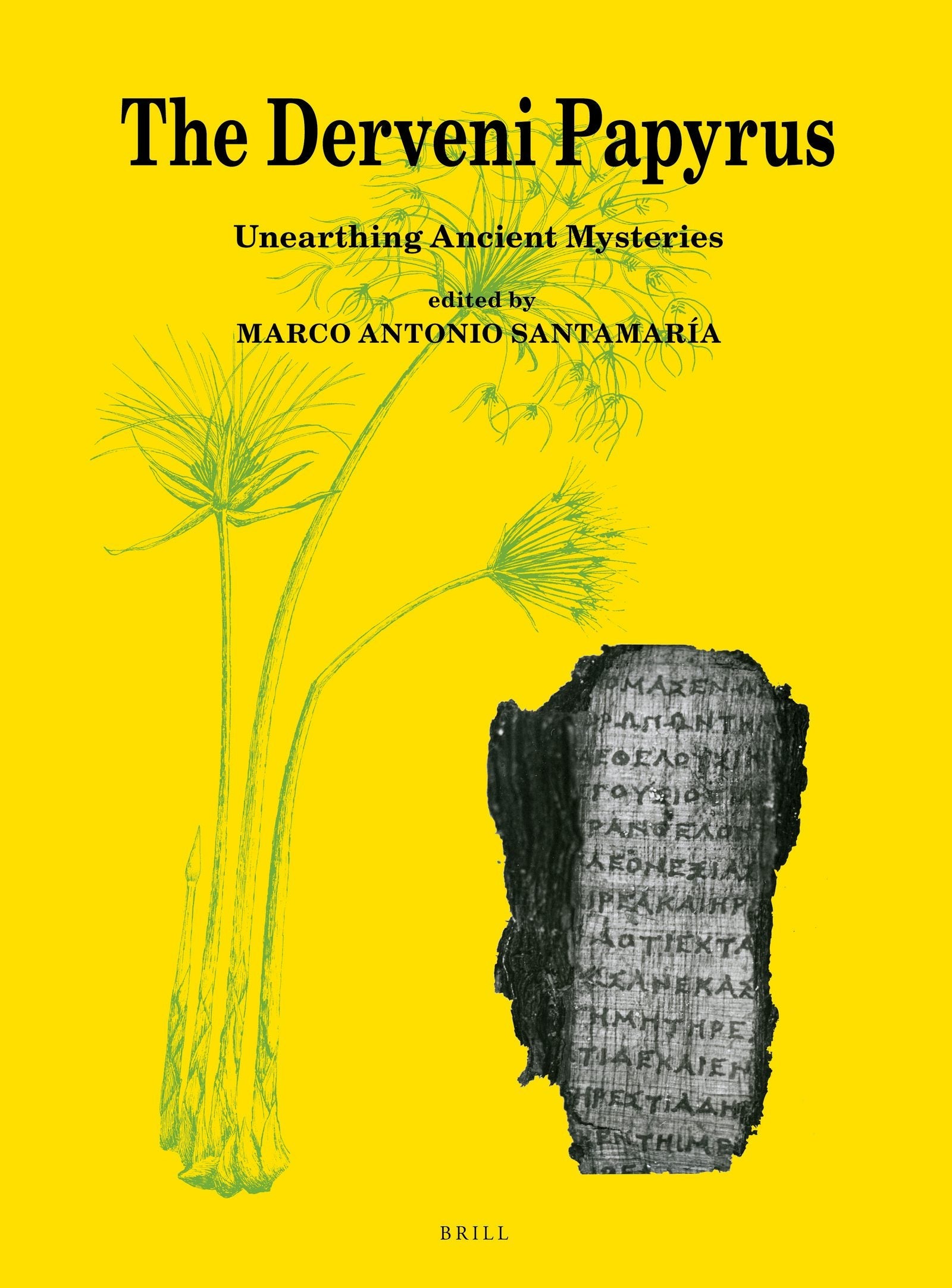 Book cover image for The Derveni Papyrus ISBN: 9789004384842